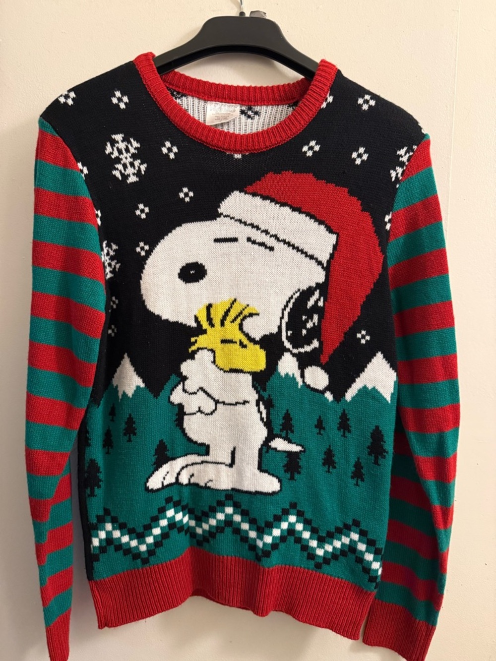 Men's Red & Green Snoopy Holiday Sweater